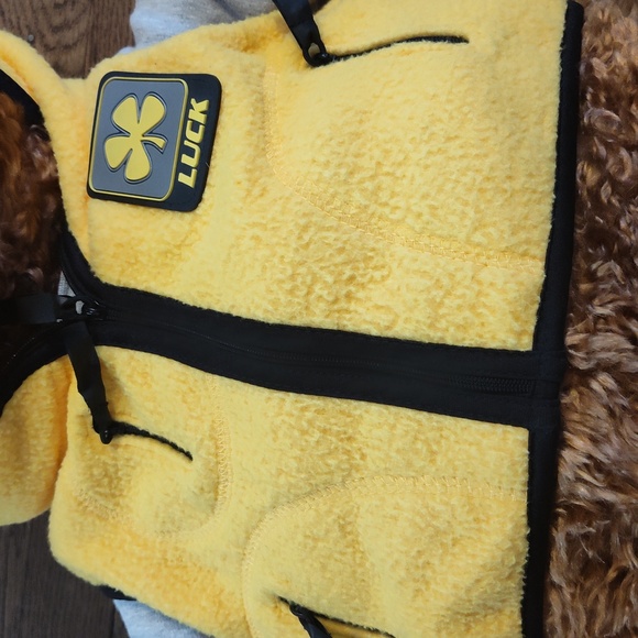 Vintage Gund Wish Bear Limited Edition Luck Bear 2000 2001 EUC - Picture 5 of 12